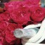Rosa Meilland 'Red Eden Rose ®' (Eric Tabarly ® Meidrason) 